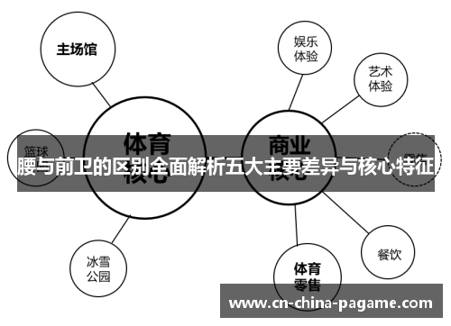 腰与前卫的区别全面解析五大主要差异与核心特征