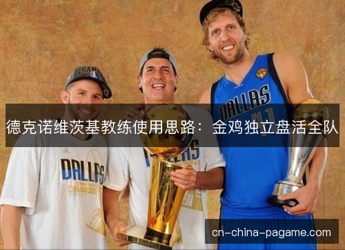 德克诺维茨基教练使用思路：金鸡独立盘活全队